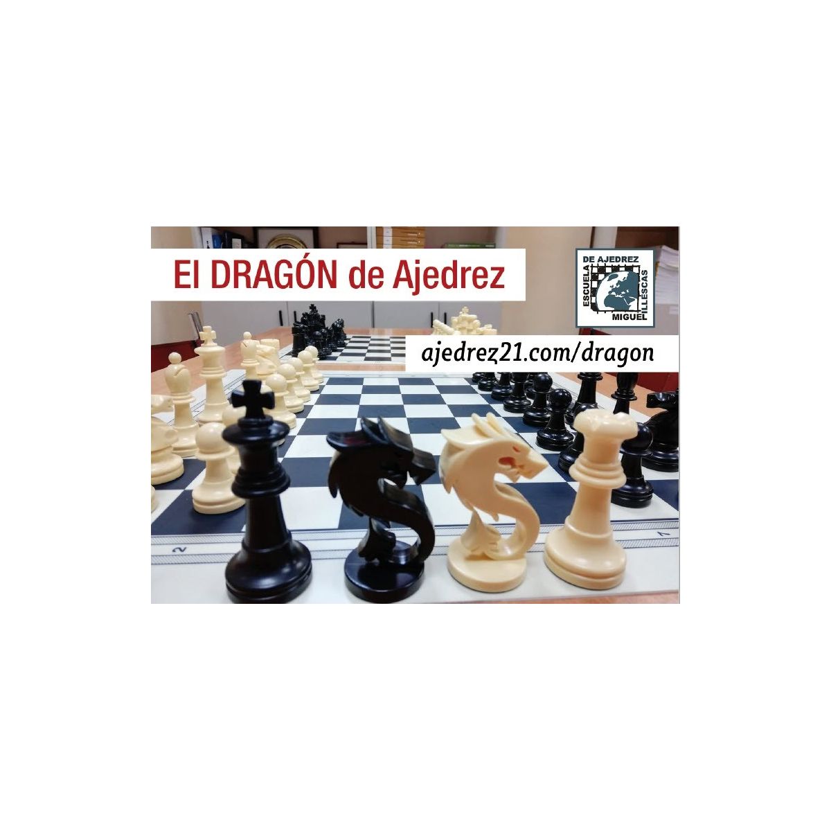 Longspeed 1 Juego de Mini Tablero de ajedrez Plegable de plástico magnético Juego de Tablero de ajedrez Juguete portátil para niños ajedrez magnético Plegado-Blanco Negro 